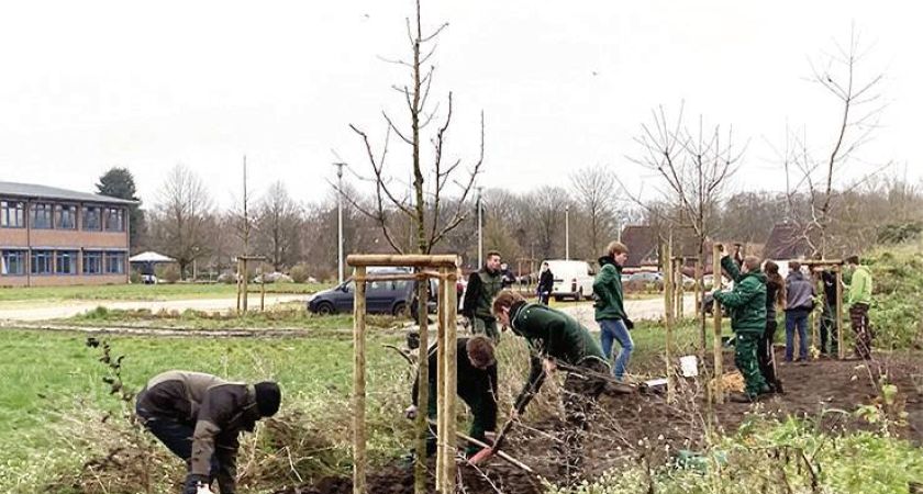 Obstbaumwiese