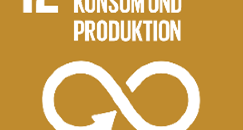 Nachhaltige/r Konsum und Produktion