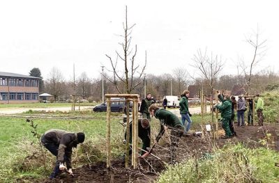 Obstbaumwiese