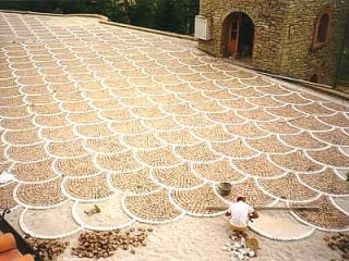 Bauen einer Fläche mit Naturstein